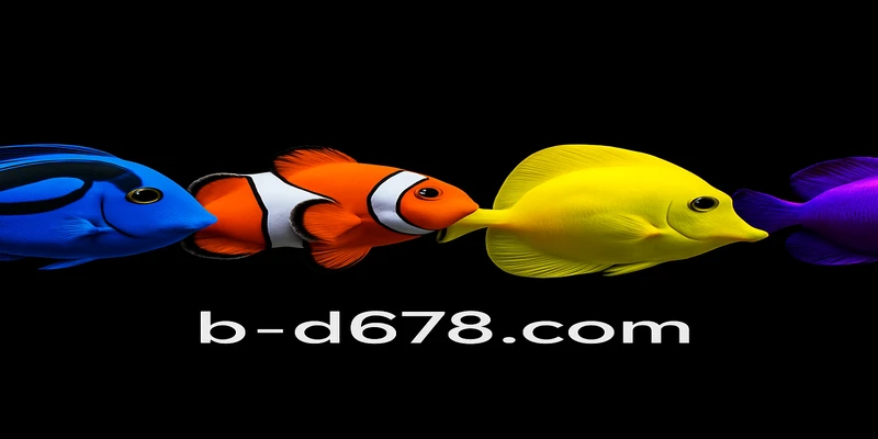 bd678 আন্তর্জাতিক লাইসেন্সিং ও কঠোর নিরাপত্তা